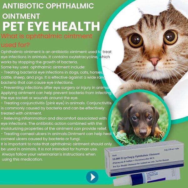 Pet Eye Health Ointment for Birds