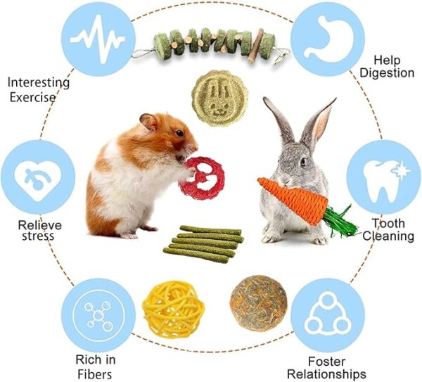 Grddaef 20 PCS Bunny Chew Toys - Image 2