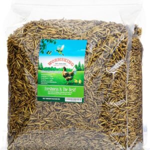 5LB Dried Black Soldier Fly Larvae