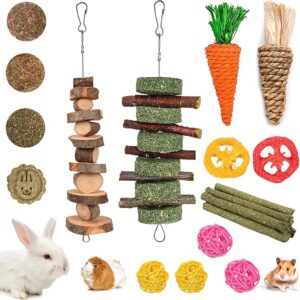 Grddaef 20 PCS Bunny Chew Toys