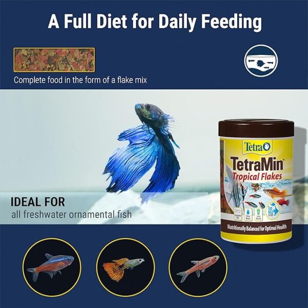 TetraMin Tropical Flakes 7.06 Ounces