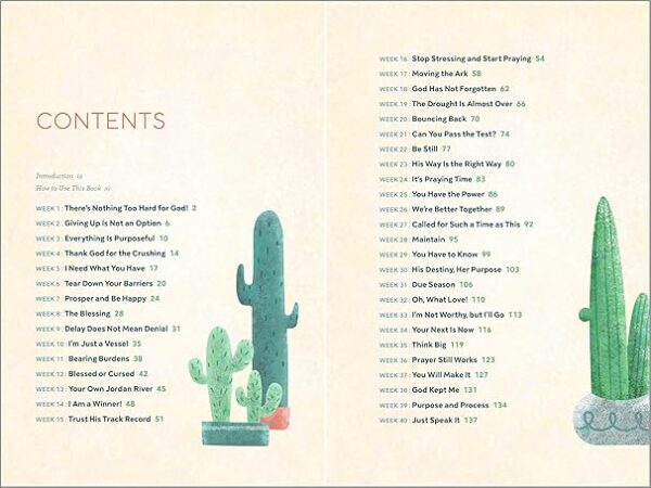 The Bible in 52 Weeks